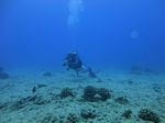 Hawaii Scuba divng 28