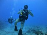 Hawaii Scuba divng 29