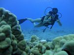 Hawaii Scuba divng 30