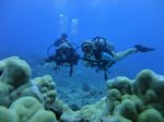 Hawaii Scuba divng 31