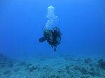 Hawaii Scuba divng 32