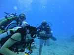 Hawaii Scuba divng 33