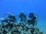 Hawaii Scuba divng 35