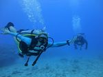 Hawaii Scuba divng 36