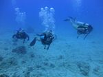 Hawaii Scuba divng 37