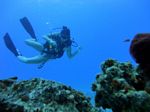 Hawaii Scuba divng 56