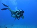 Hawaii Scuba divng 57