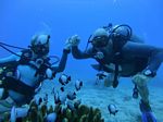 Hawaii Scuba divng 61