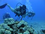 Hawaii Scuba divng 62