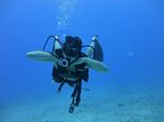 Hawaii Scuba divng 63