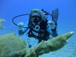 Hawaii Scuba divng 71