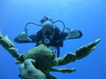 Hawaii Scuba divng 73