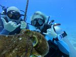 Hawaii Scuba divng 77