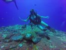 Hawaii Scuba divng 22