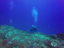 Hawaii Scuba divng 23