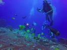 Hawaii Scuba divng 25