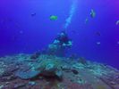 Hawaii Scuba divng 27