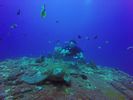 Hawaii Scuba divng 28