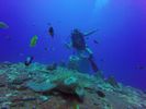 Hawaii Scuba divng 30