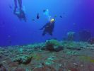 Hawaii Scuba divng 34