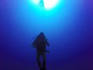 Hawaii Scuba divng 37