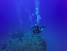 Hawaii Scuba divng 47