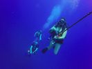 Hawaii Scuba divng 51