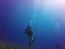 Hawaii Scuba divng 52