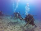 Hawaii Scuba divng 56