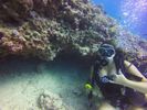 Hawaii Scuba divng 59