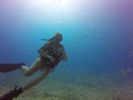 Hawaii Scuba divng 61