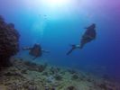 Hawaii Scuba divng 63