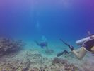 Hawaii Scuba divng 74