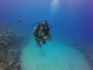 Hawaii Scuba divng 75