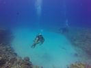 Hawaii Scuba divng 76