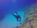 Hawaii Scuba divng 77