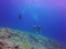 Hawaii Scuba divng 79