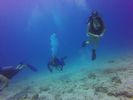 Hawaii Scuba divng 81