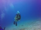 Hawaii Scuba divng 82