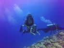 Hawaii Scuba divng 84