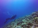 Hawaii Scuba divng 93