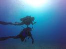 Hawaii Scuba divng 94