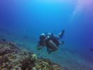 Hawaii Scuba divng 95