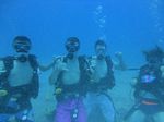 Hawaii Scuba divng 13