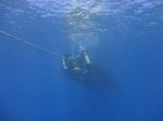 Hawaii Scuba divng 14