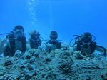 Hawaii Scuba divng 19