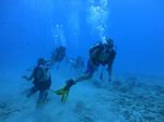 Hawaii Scuba divng 20