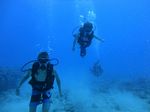 Hawaii Scuba divng 21