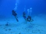 Hawaii Scuba divng 22