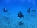 Hawaii Scuba divng 24